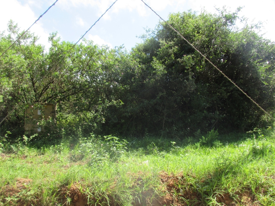 0 Bedroom Property for Sale in Bathurst Eastern Cape